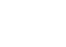 The Macallan.