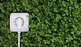 Socket with plug plugged in
