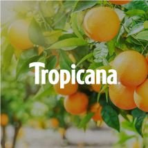 Tropicana